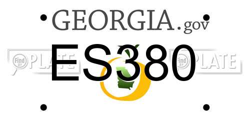 ES380 Georgia License Plate
