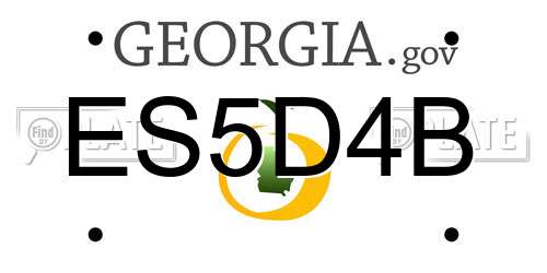 ES5D4B Georgia License Plate