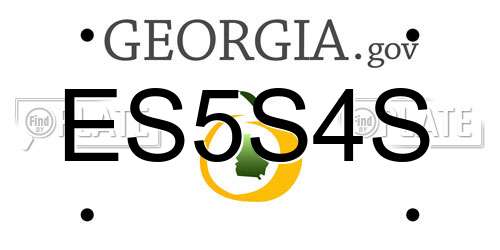 ES5S4S Georgia License Plate