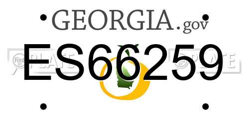 ES66259 Georgia License Plate