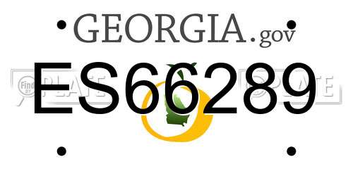 ES66289 Georgia License Plate