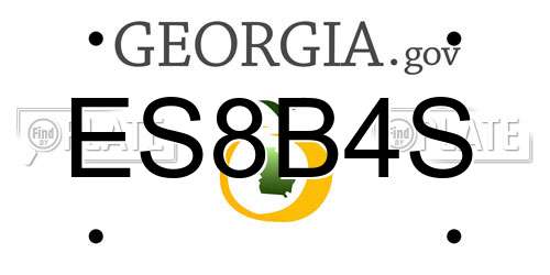 ES8B4S Georgia License Plate