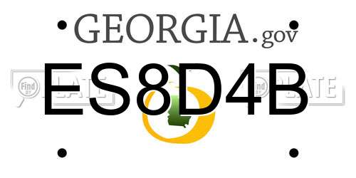 ES8D4B Georgia License Plate