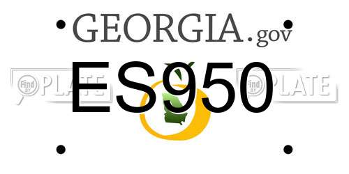ES950 Georgia License Plate
