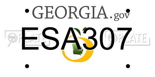 ESA307 Georgia License Plate