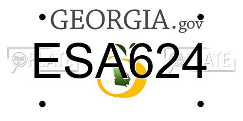 ESA624 Georgia License Plate
