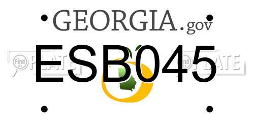 ESB045 Georgia License Plate