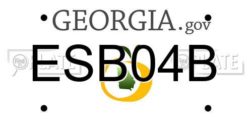 ESB04B Georgia License Plate