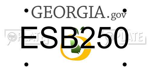 ESB250 Georgia License Plate