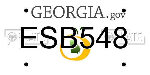 ESB548 Georgia License Plate