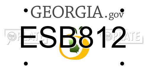 ESB812 Georgia License Plate