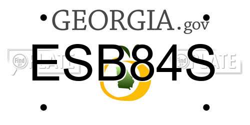 ESB84S Georgia License Plate