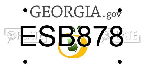 ESB878 Georgia License Plate