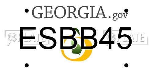 ESBB45 Georgia License Plate