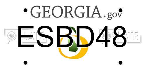 ESBD48 Georgia License Plate