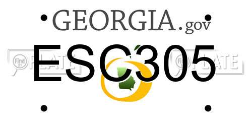 ESC305 Georgia License Plate
