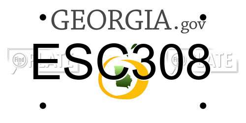 ESC308 Georgia License Plate