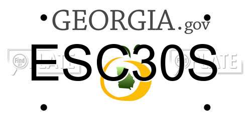 ESC30S Georgia License Plate