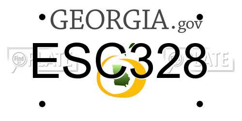 ESC328 Georgia License Plate