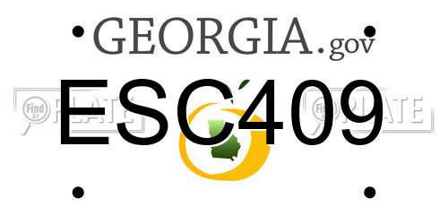 ESC409 Georgia License Plate