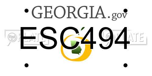ESC494 Georgia License Plate