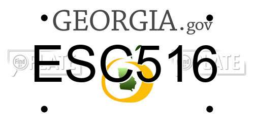 ESC516 Georgia License Plate