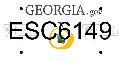 ESC6149 Georgia License Plate