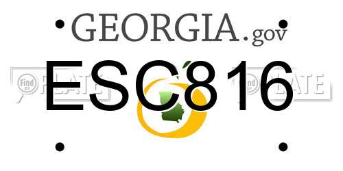 ESC816 Georgia License Plate