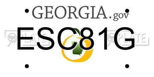 ESC81G Georgia License Plate