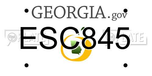 ESC845 Georgia License Plate