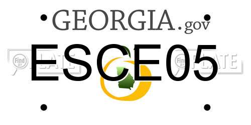 ESCE05 Georgia License Plate
