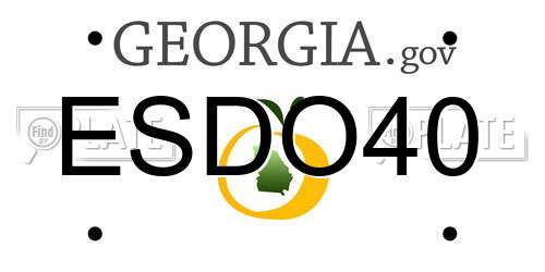 ESDO40 Georgia License Plate