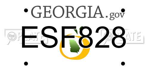 ESF828 Georgia License Plate