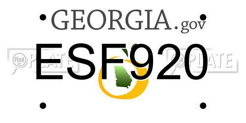 ESF920 Georgia License Plate