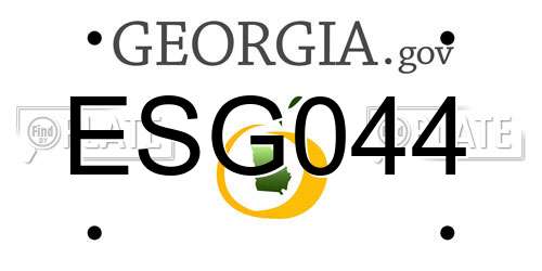 ESG044 Georgia License Plate