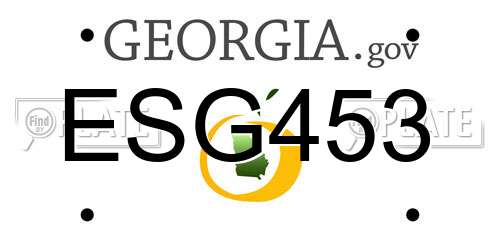 ESG453 Georgia License Plate