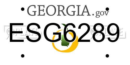 ESG6289 Georgia License Plate