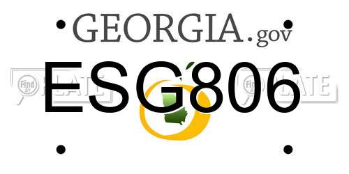ESG806 Georgia License Plate