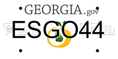 ESGO44 Georgia License Plate