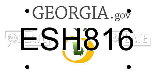 ESH816 Georgia License Plate