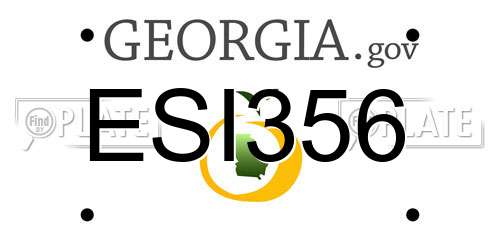 ESI356 Georgia License Plate