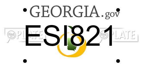 ESI821 Georgia License Plate