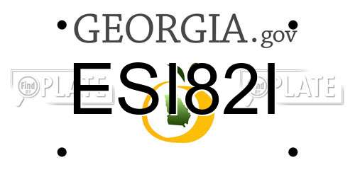 ESI82I Georgia License Plate
