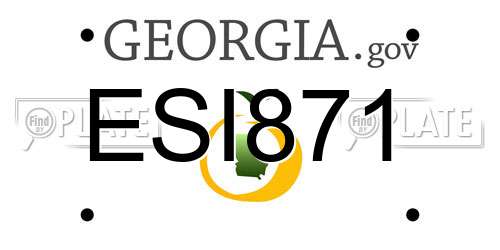 ESI871 Georgia License Plate