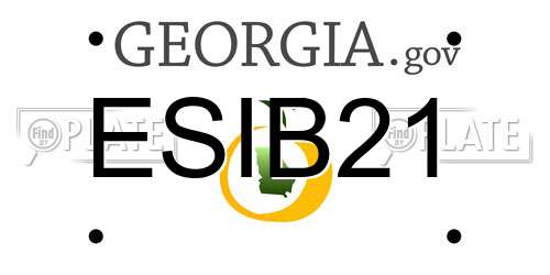 ESIB21 Georgia License Plate