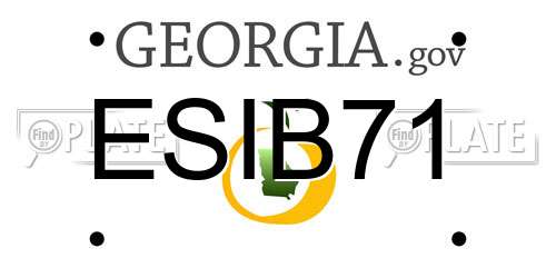 ESIB71 Georgia License Plate