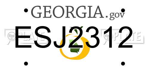 ESJ2312 Georgia License Plate