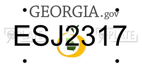 ESJ2317 Georgia License Plate