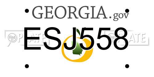 ESJ558 Georgia License Plate