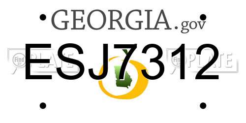 ESJ7312 Georgia License Plate